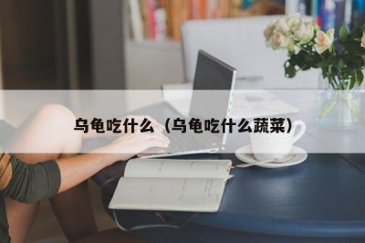 ​乌龟吃什么（乌龟吃什么蔬菜）