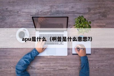 ​apu是什么（啊普是什么意思?）