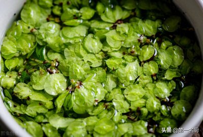 ​野菜的种类和图片大全(春天摘野菜，送你34种野菜大图鉴，带你认识不同的野菜