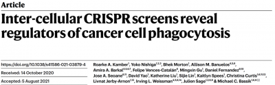 ​细胞吞噬 Nature | CRISPR筛选调节巨噬细胞吞噬肿瘤的关键因子