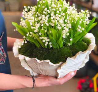 ​最香的花排名第一名(“最香的”7种花，花美“长寿命”，家里养一盆，能香几十