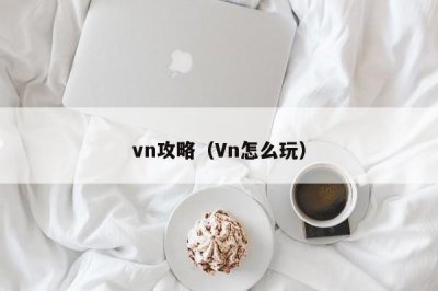 ​vn攻略（Vn怎么玩）