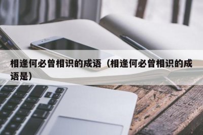 ​相逢何必曾相识的成语（相逢何必曾相识的成语是）