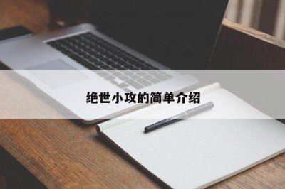 ​绝世小攻的简单介绍