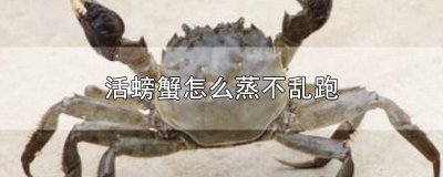 ​活螃蟹怎么蒸不乱跑的 怎么蒸活螃蟹他乱跑