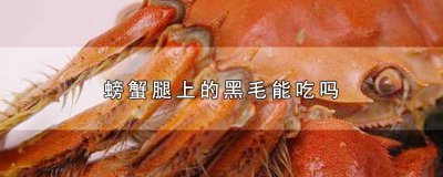 ​螃蟹腿上的黑毛能吃吗 螃蟹腿有毛能吃吗