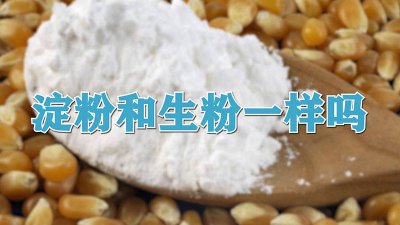 ​生粉和淀粉一样用吗 淀粉和生粉的一样吗