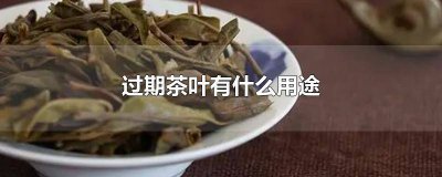 ​过期茶叶的用途有哪些 过期茶叶有什么用处?