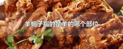 ​羊蝎子是羊什么部位 羊蝎子属于羊的什么部位