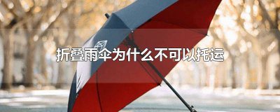 ​为啥雨伞不能托运 为什么雨伞不能托运