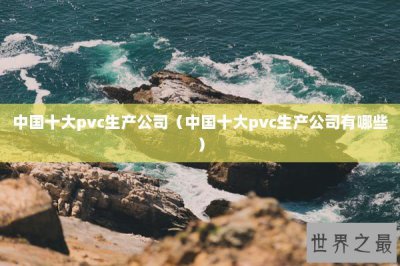 ​中国十大pvc生产公司（中国十大pvc生产公司有哪些）