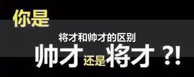 ​帅才将才慧才三才特点 将帅慧才分类