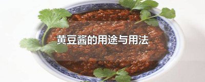 ​黄豆酱的作用食用方法用途 黄豆酱如何使用