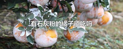 ​橘子皮里面发灰是怎么回事 橘子橘子皮内侧是灰色的吃了有关系吗