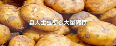 ​夏天怎样储存土豆不发芽保鲜 夏天怎样储存土豆不发芽