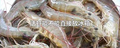 ​活虾可以放冰箱吗 活虾能不能放冰箱