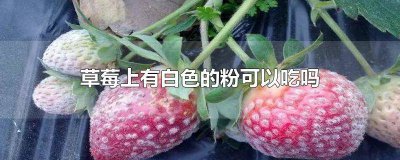 ​草莓长白粉还能吃吗 草莓上有白色的粉霜可以吃吗