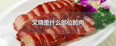 ​叉烧是什么部位的肉 叉烧是什么部位的肉粤语