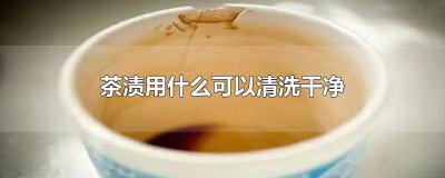 ​茶渍用什么洗能洗掉 茶渍用什么洗最干净