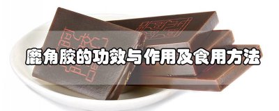 ​鹿角胶的功效? 鹿角胶的功效和作用及食用方法