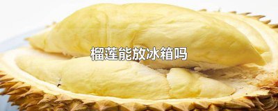 ​冬天榴莲可以不放冰箱吗多久 夏天榴莲用不用放冰箱