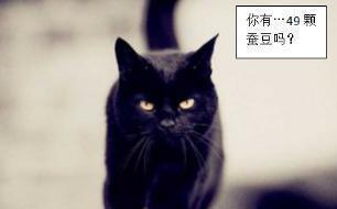 猫是招鬼还是辟邪的