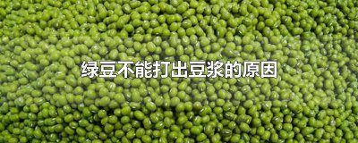 ​绿豆不能打出豆浆的原因有哪些 绿豆不能打出豆浆的原因分析