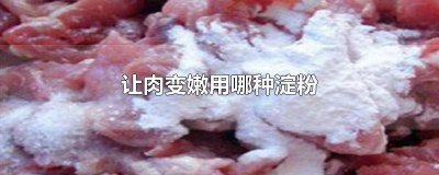 ​为什么淀粉可以使肉变嫩 淀粉为什么能让肉变嫩