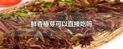 ​香椿芽不能吃吗 常吃香椿芽好吗