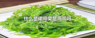 ​裙带菜 是不是海带 裙带菜是不是就是海带呀