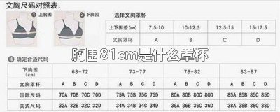 ​上胸围81下胸围65是什么罩杯 胸围81厘米是几罩杯