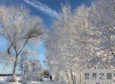 ​百年难得一遇莫斯科降雪破纪录，造成1死多伤2000棵树倒塌