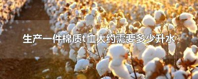 ​生产一件棉质t恤大约要多少升水 生产一件棉质t恤大约需要多少升水?