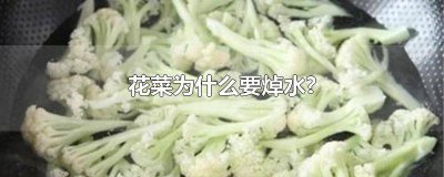 ​花菜需要焯水不 菜花是否需要焯水