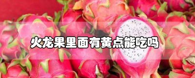 ​火龙果有点发黄还能吃吗 火龙果上面有黄点