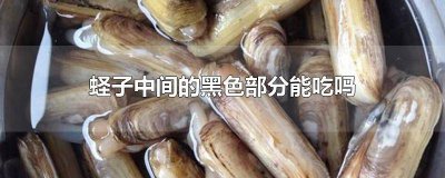 ​蛏子里面的黑色的能吃吗 蛏子里面黑色的能吃吗?