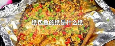 ​纸包鱼的纸是啥纸 纸包鱼的那个纸是什么纸