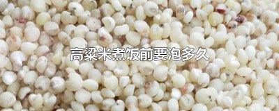 ​煮高粱米饭之前需要泡水么 高粱米煮饭要先泡一下吗