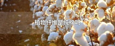 ​植物纤维是纯棉吗为什么 植物纤维是纯棉吗还是涤纶