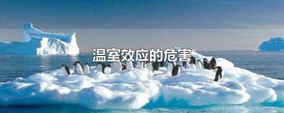 ​温室效应的危害及后果英语 温室效应的危害及后果论文