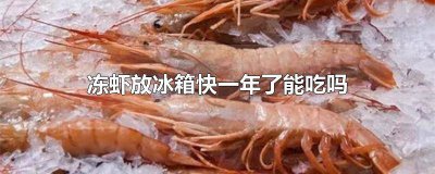 ​虾放冷冻一年还能吃吗 虾冷冻了半年还能吃吗