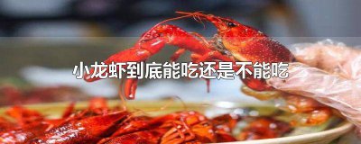 ​小龙虾不能吃啥 小龙虾不能吃啥食物