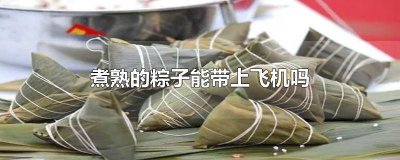 ​粽子可以带上飞机嘛 粽子可以直接带上飞机吗