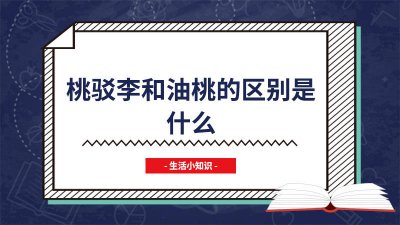 ​李桃和油桃是不是一样的 斑驳李和油桃