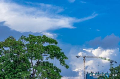 ​深圳市中心最繁华区（深圳风景最美商业最繁华的地方）