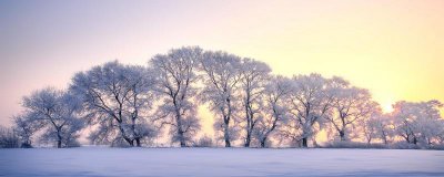 ​大雪纷飞的唯美句子