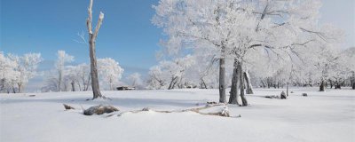 ​大雪纷飞的意思