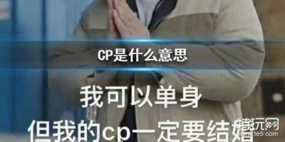 ​CP是什么意思 CP网络用语介绍