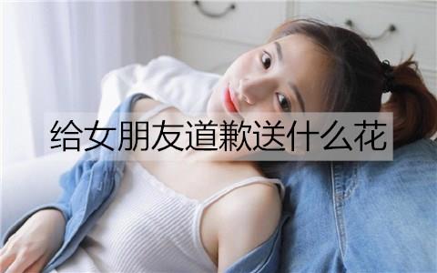 给女朋友道歉送什么花3