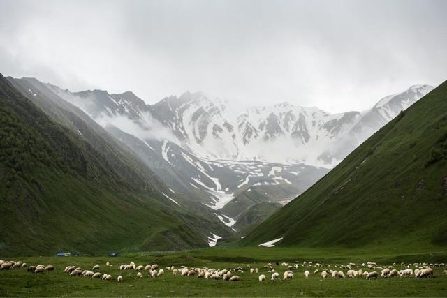 旅游西雅图旅游团攻略大揭秘，这些景点别错过！  3